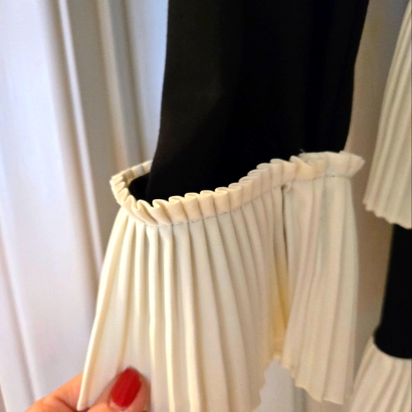 1901 Black and White Dress - Picture 2 of 4